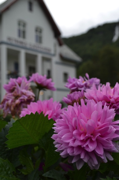 Petrines Gjestgiveri with flowers